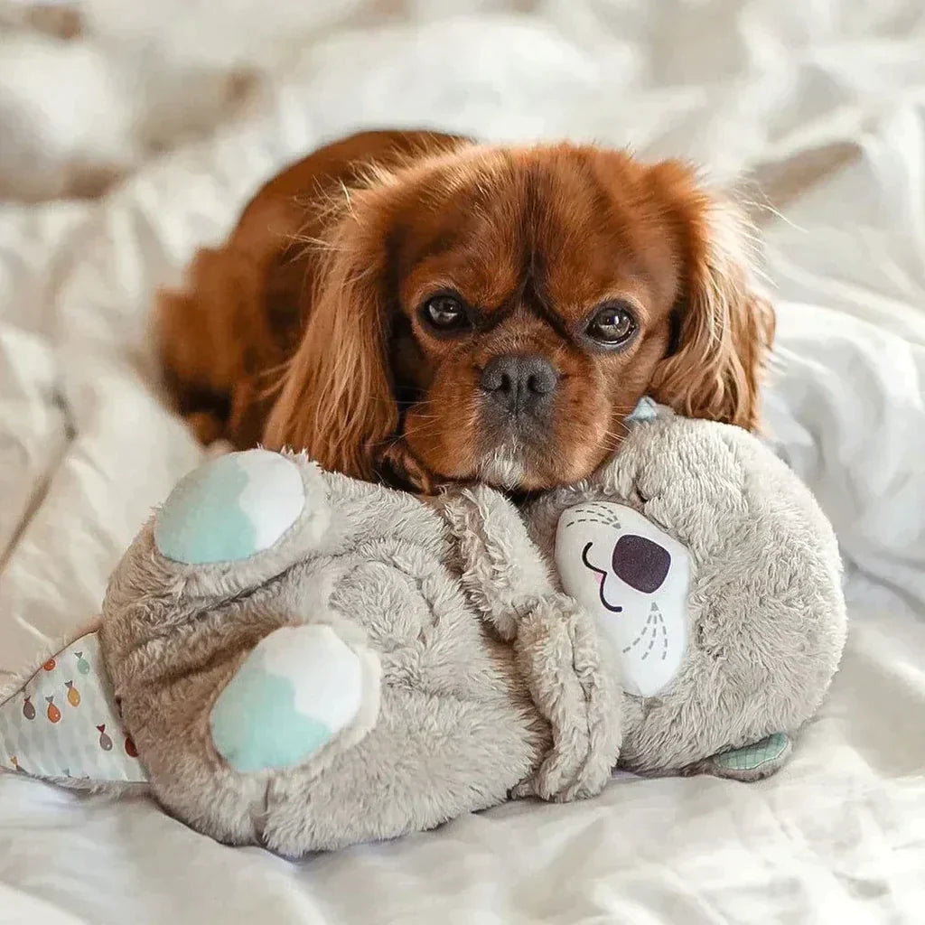 Ottery Snoozy™ Cozy Buddy