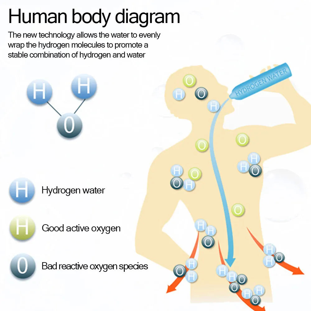 INDA™H2Oasis: Hydration Evolution