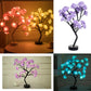 Bloom of Affection Bonsai - Cultivate Love and Tranquility with Exquisite Bonsai Trees