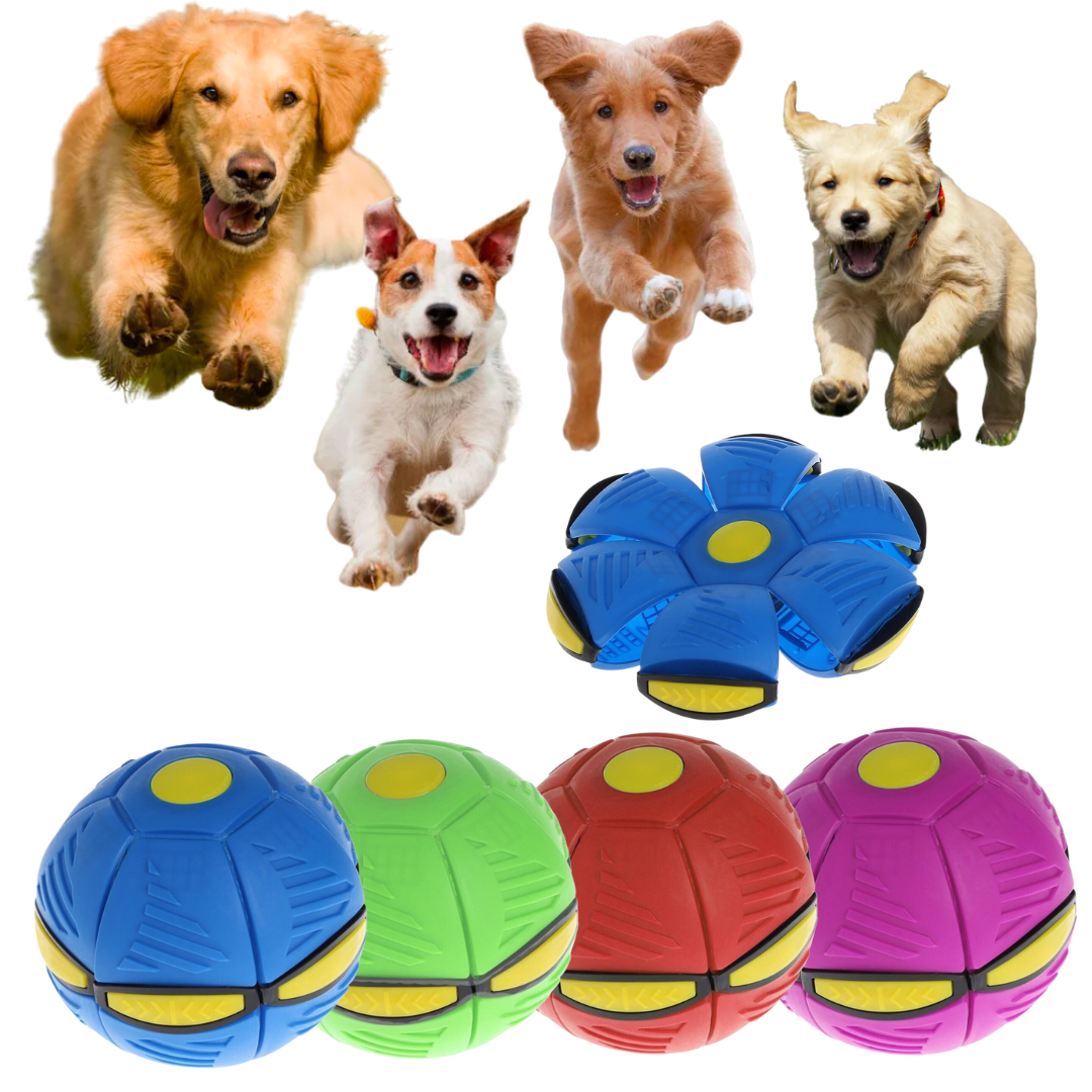 Experience Exciting Thrills with INDA™ Ballistic Saucer Fun